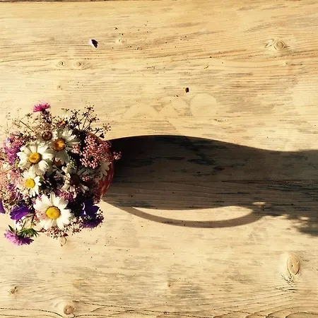 Apartment Casa Marlenca Eg Arosa