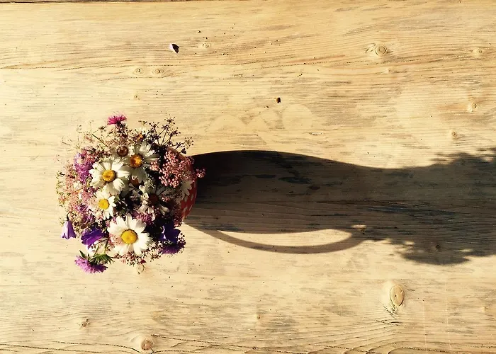 公寓 Casa Marlenca Eg 阿罗萨